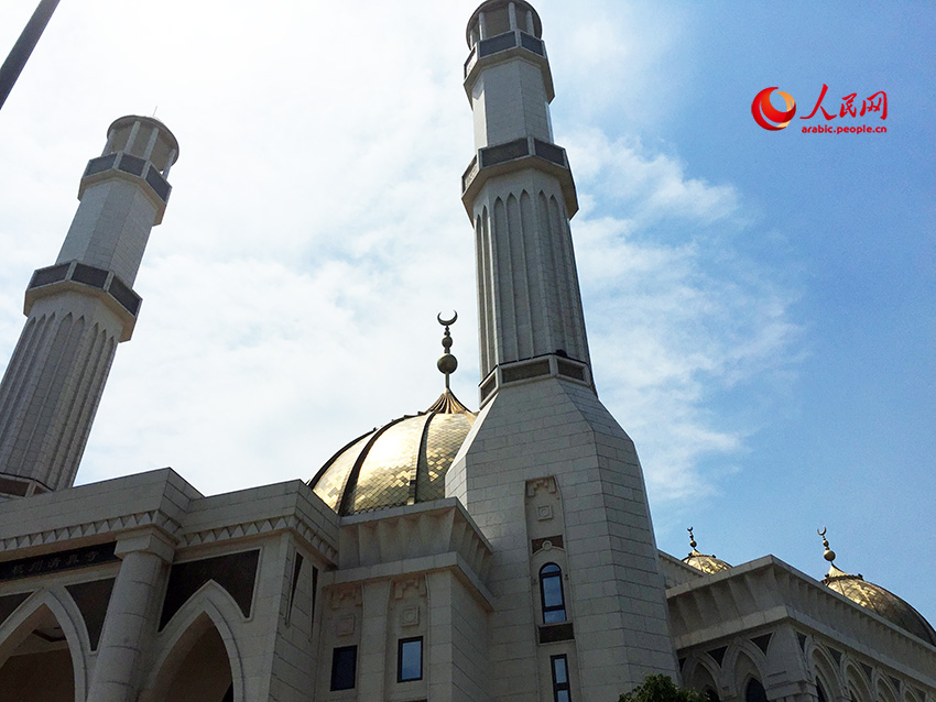 ???? ???????.. ??? ???? ????? ?? ????? ?????? ????? ?? ?????? ?????