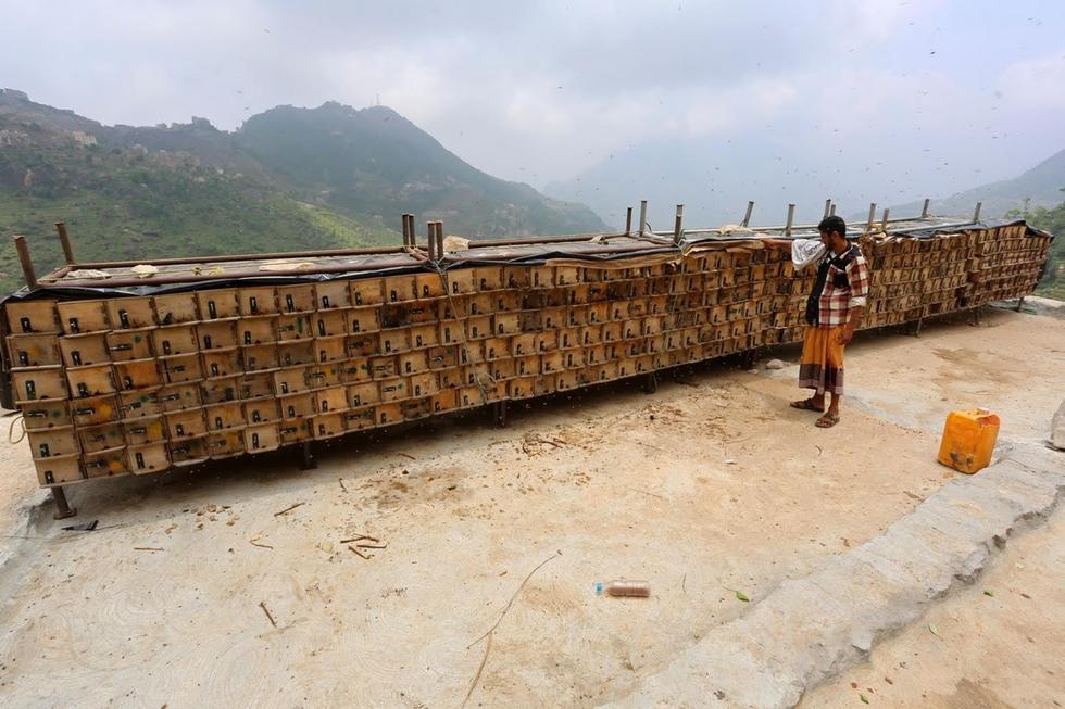 ????? ?? ?????: ?????? ?????? ???? ?????? ??? ??? ??????