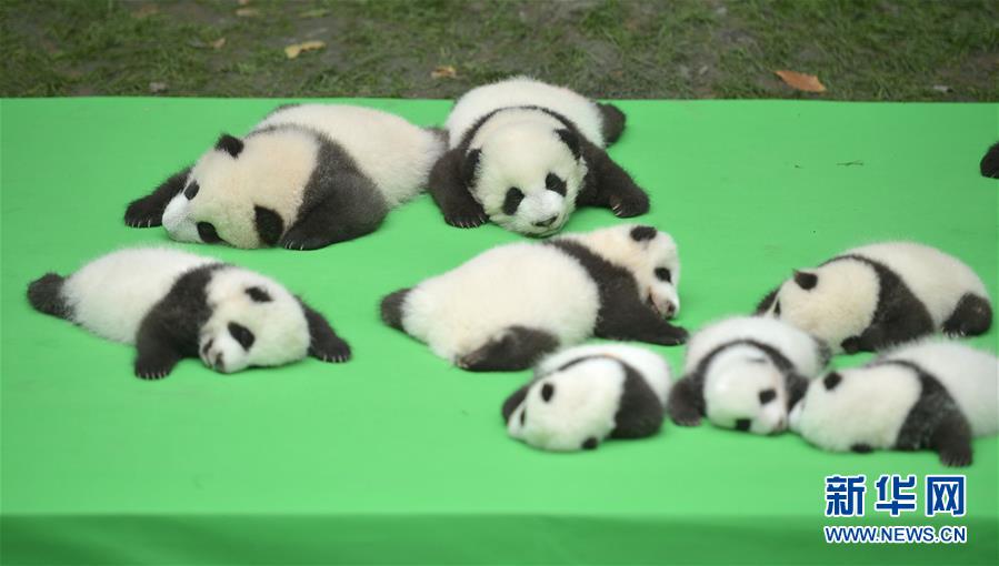 ????? ??????? ?????? ????? ??????? ?? ??? 2016