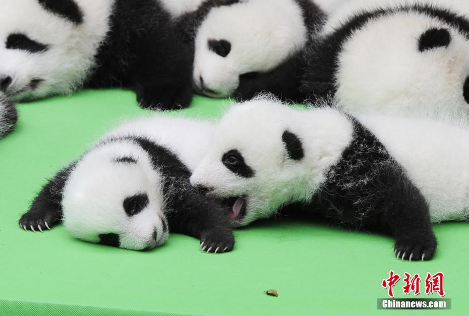 ????? ??????? ?????? ????? ??????? ?? ??? 2016