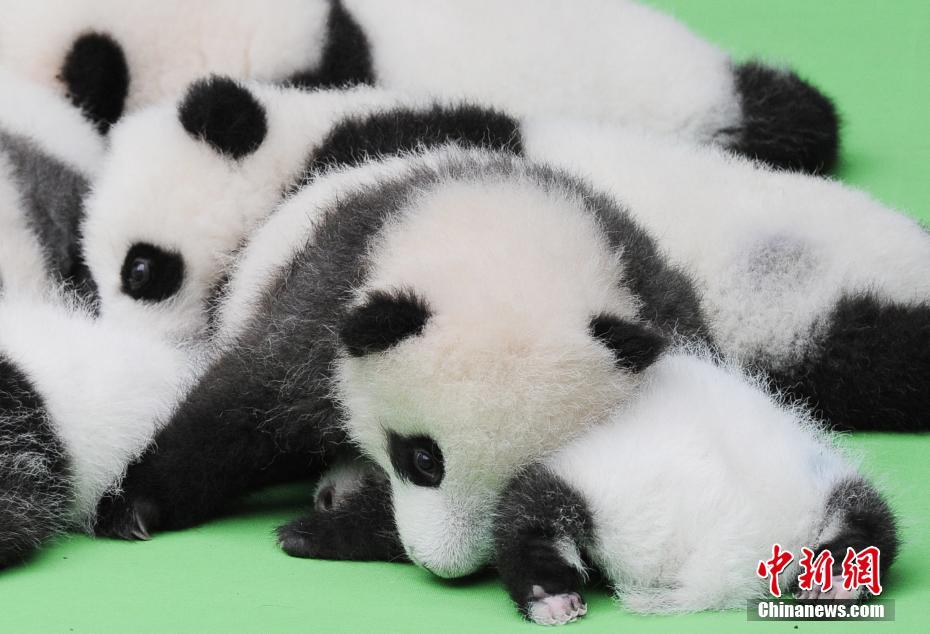 ????? ??????? ?????? ????? ??????? ?? ??? 2016