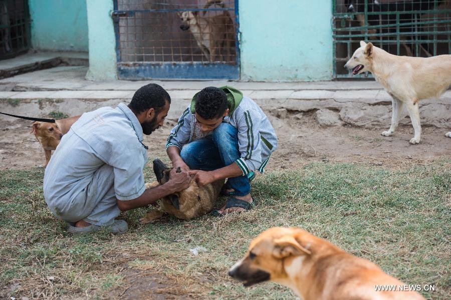 ????? ??????? ??????? ???? ?????? ??????? ??? ??????