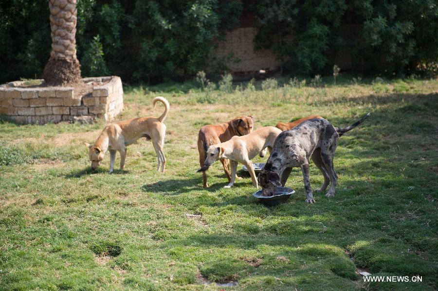 ????? ??????? ??????? ???? ?????? ??????? ??? ??????