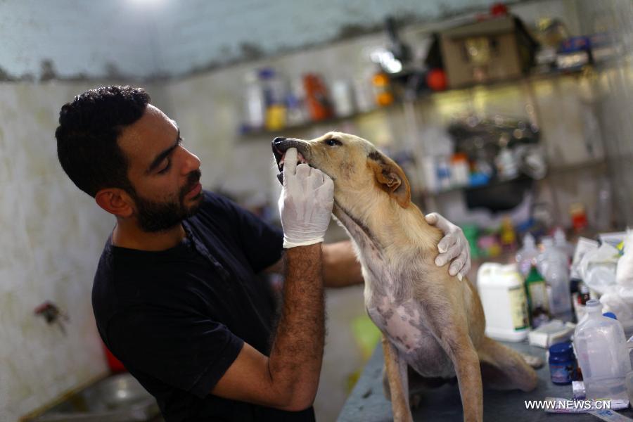 ????? ??????? ??????? ???? ?????? ??????? ??? ??????