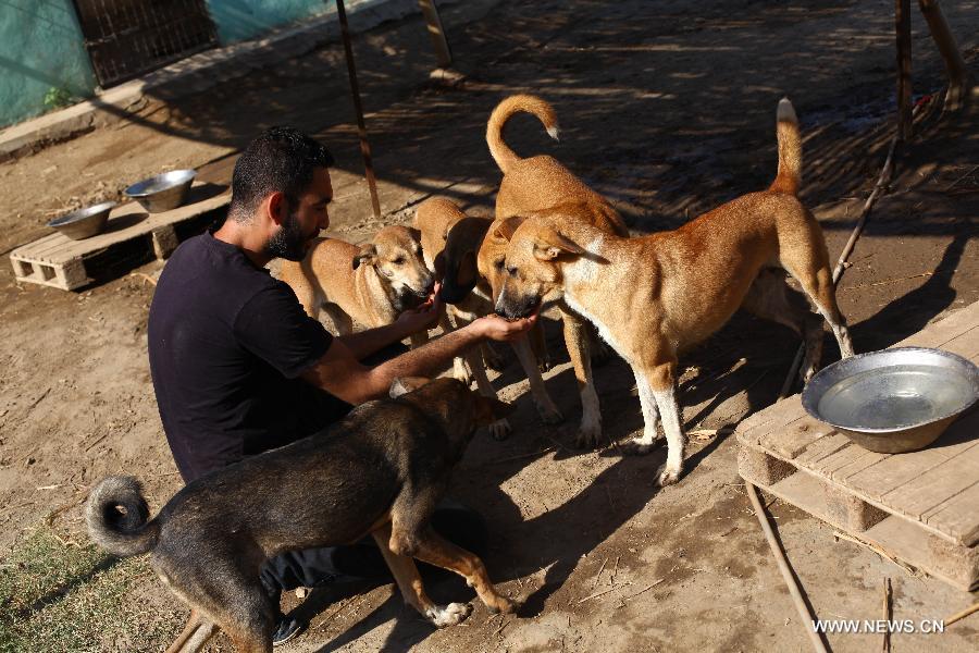 ????? ??????? ??????? ???? ?????? ??????? ??? ??????