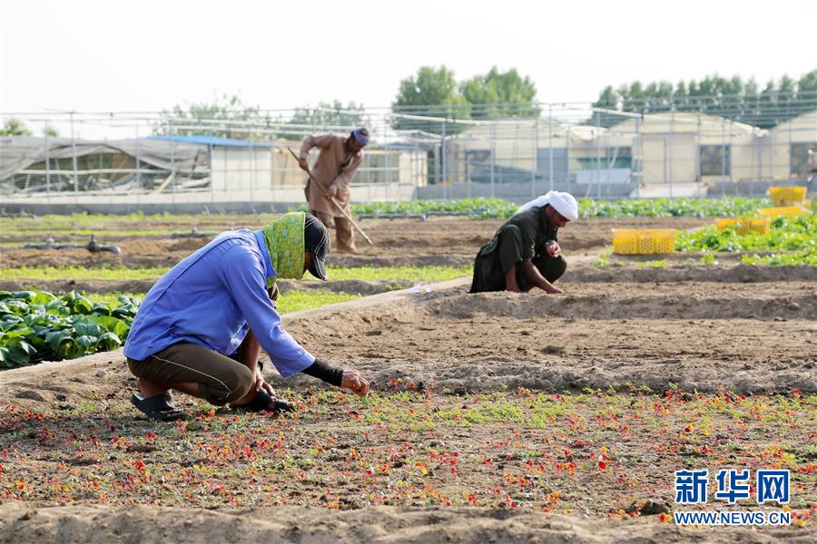 ???? ????? ???? ????? ????? ?? ????? ???