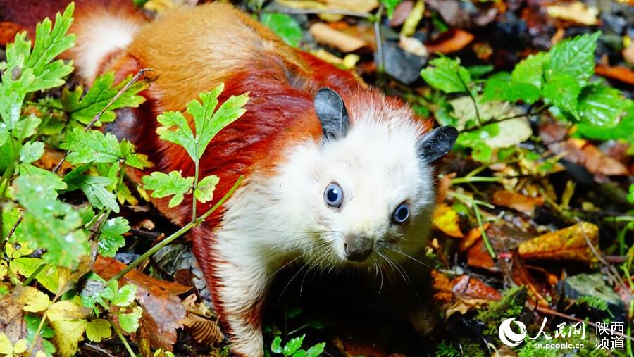 ?????? ??? ??? ?????? ????? ?? ?????