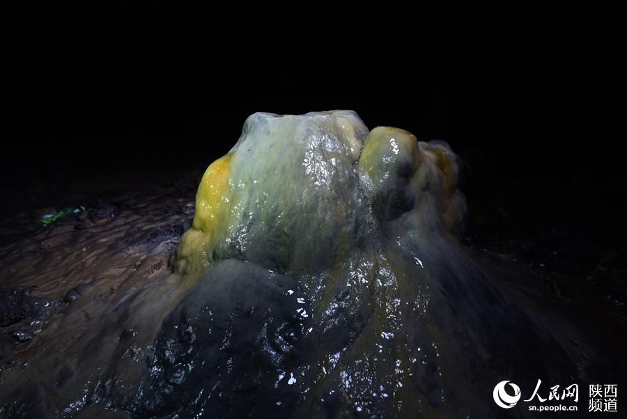 ?????? ??? ??? ?????? ????? ?? ?????