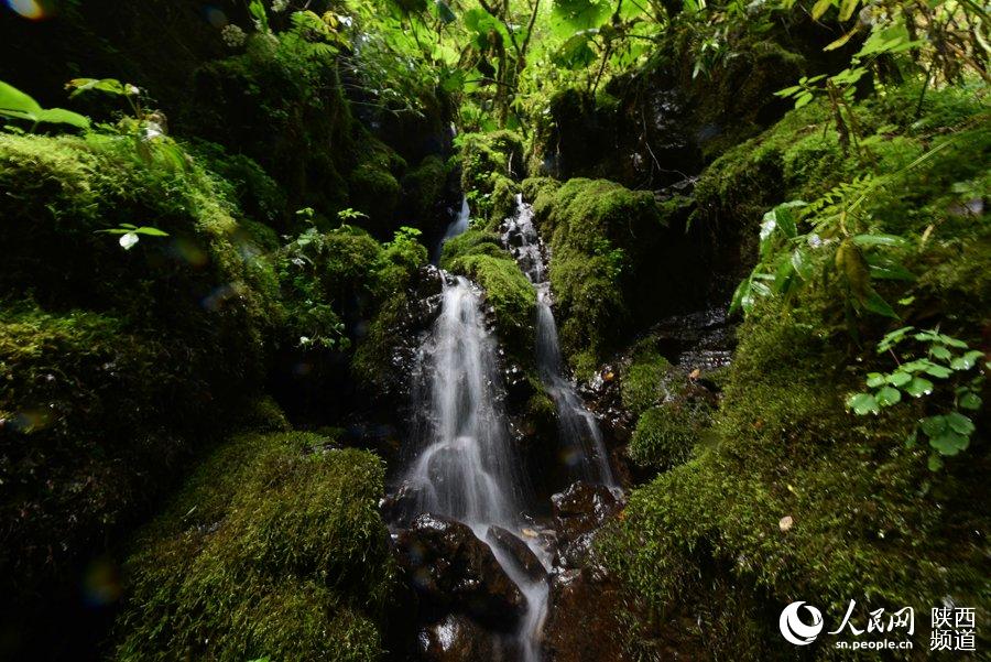 ?????? ??? ??? ?????? ????? ?? ?????