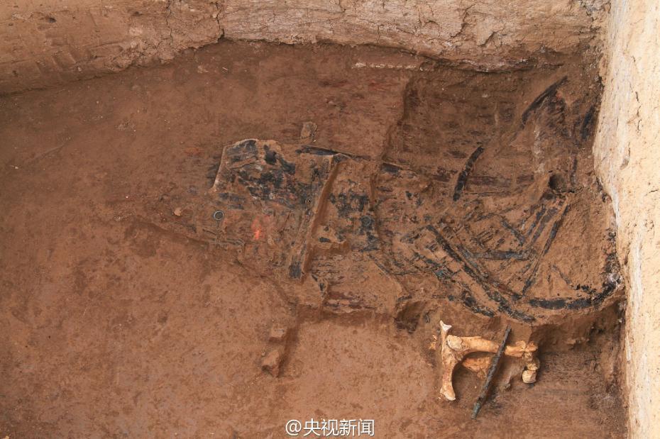 ?????? ???? ???? ????? ???????? ???????????? ?? ????