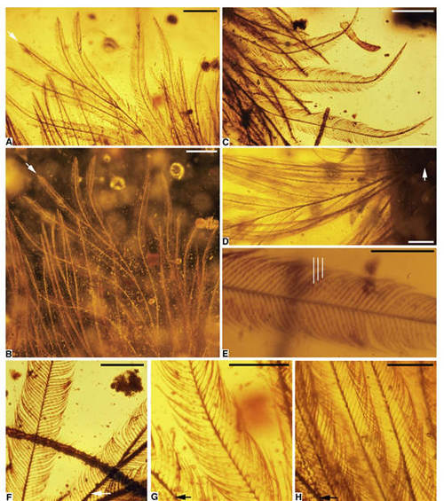 ????? ?????? ?????? ?????? ??? ??? ??????? ???? ??????