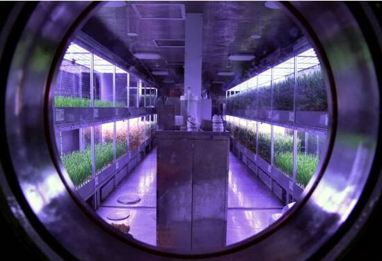 ????????? ???????? ?????? ?? 