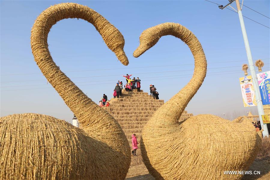 ?????? ???? ?? ???? ???? ?????