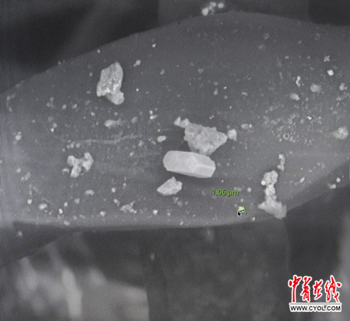 ???? ???? ???? ?? ?????? ?????? ??????? ??? ??????