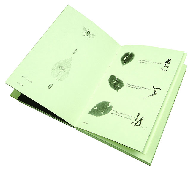 ?????? ?????? ?? ??? 