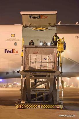 ??????? ???????? ???????? ???? ????? ????? ?????? ??? ?????? ???????