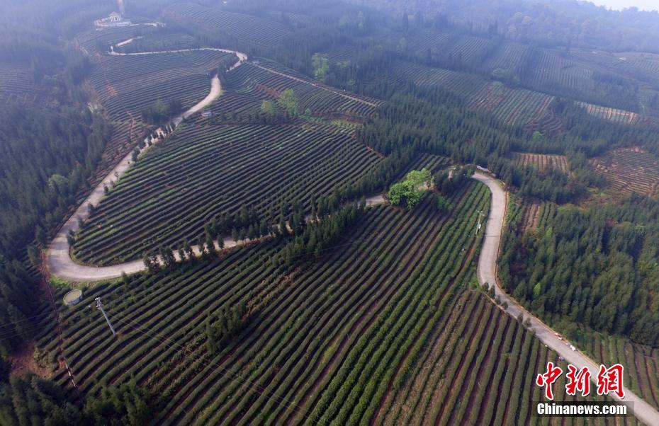 ?????? ??? ????? ????? ??? ??? ????????