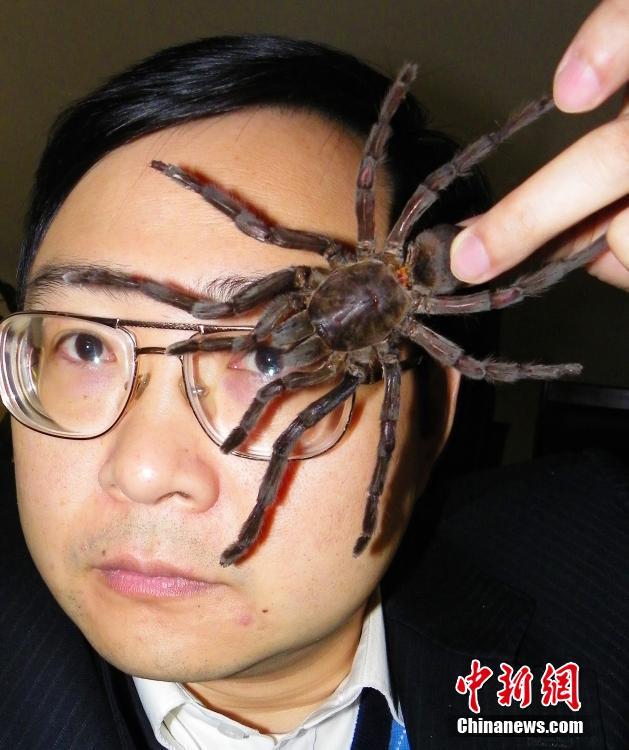 ??????: ???? ??????? ????? ???? ?????? ?? ??????