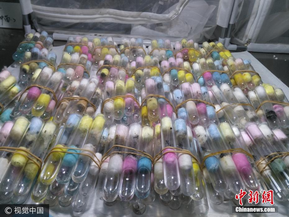 ????? ????? ???? ?????? ????? ????? ????