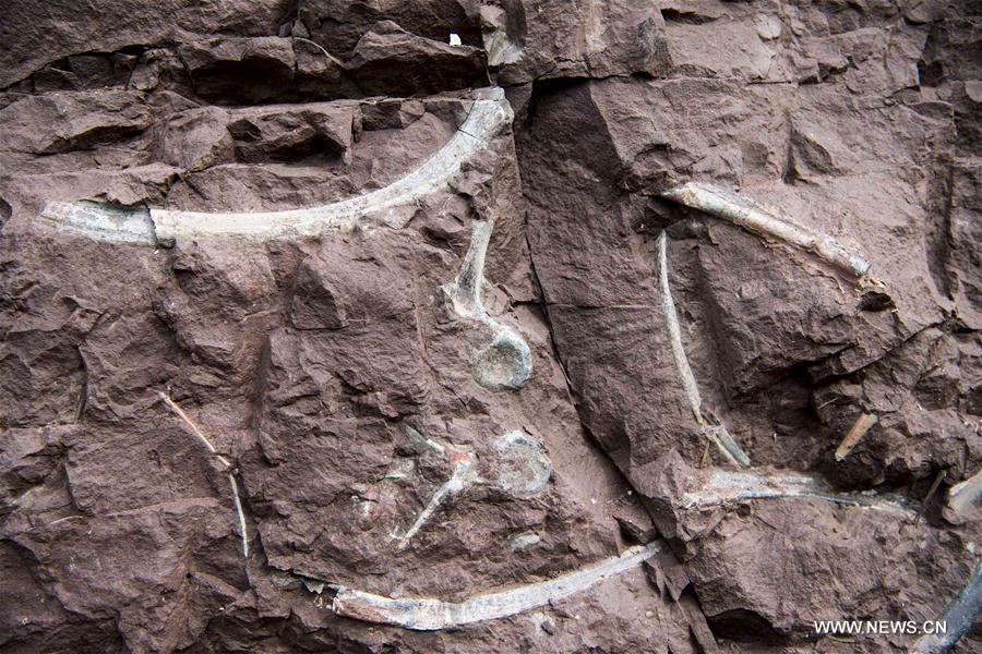 ?????? ???? ???? ??????? ??????????? ?? ???? ???? ?????