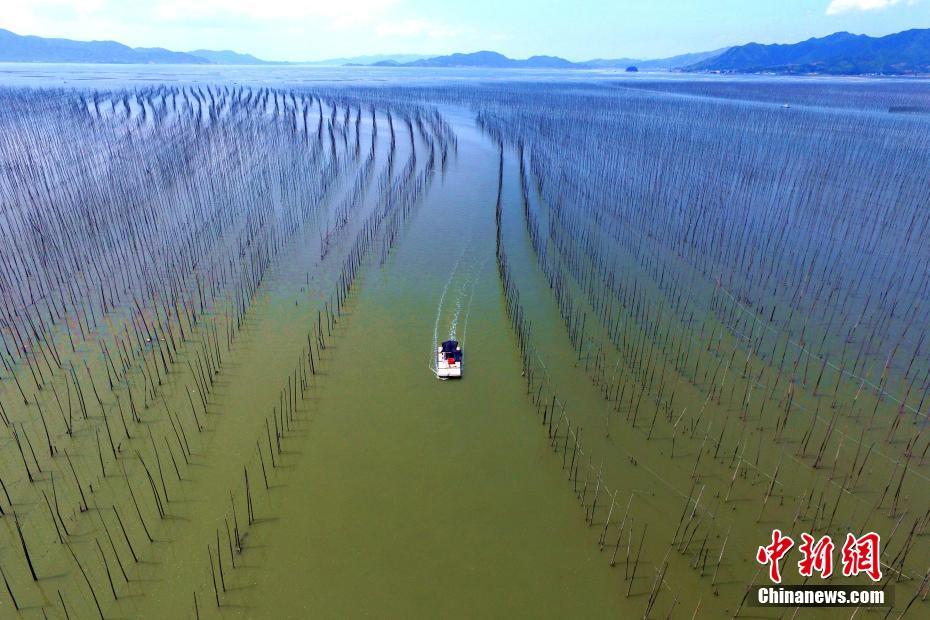 ????? ????? ?? ???? ?????? ???? ?? ?????