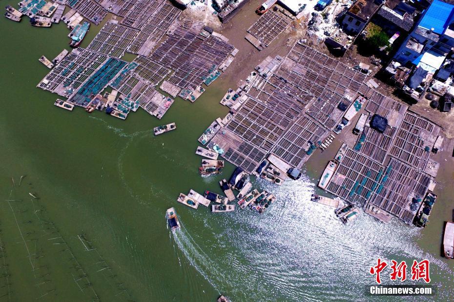 ????? ????? ?? ???? ?????? ???? ?? ?????