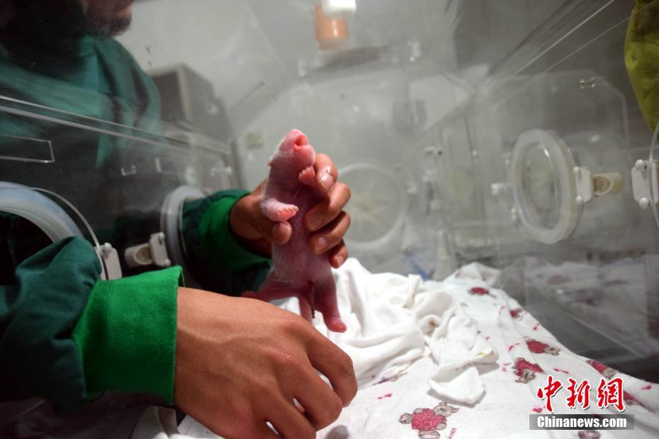 ????? ??? ??? ????? ?????? ?? ??????  ?? ???? ????? ?? ??????