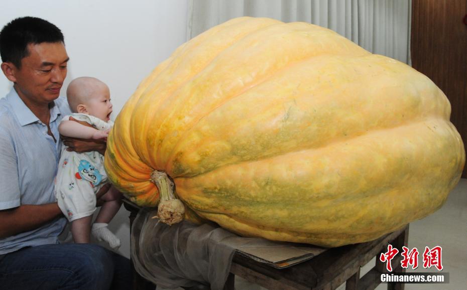 ????.. ????? ????? ???? 280 ????????