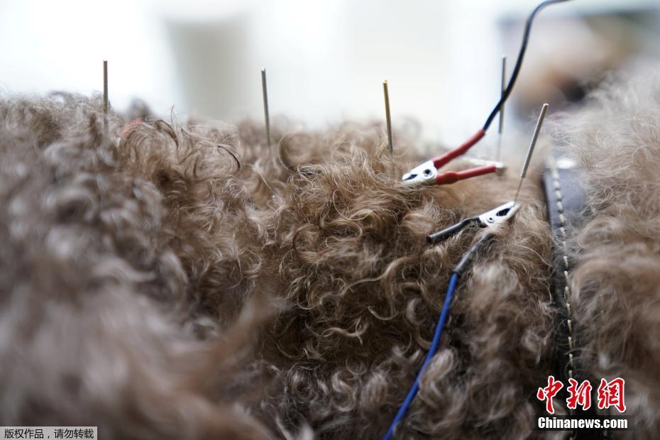 ????? ???? ???? ????? ?????? ????????? ??????? ?? ???????