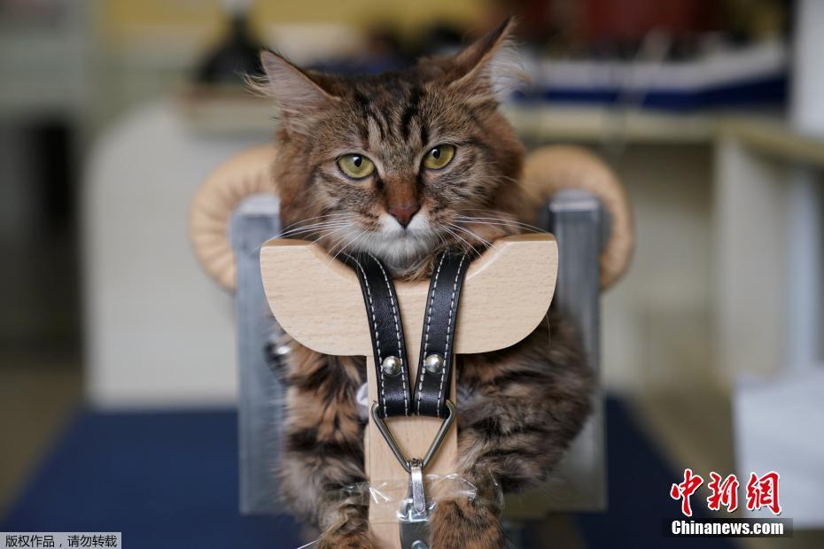 ????? ???? ???? ????? ?????? ????????? ??????? ?? ???????