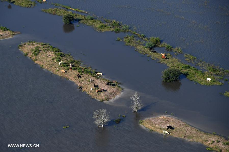 ?????: ????? ???? ??????? ?????? ?????? ????????? ???????? ?????