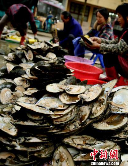 ????? ?????? ??????? ??????? ???????