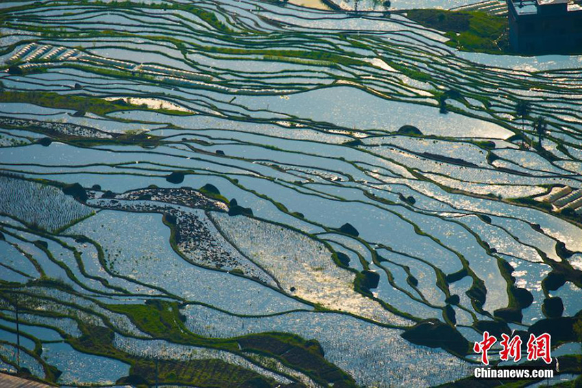 ???: ?????? ??????? ?? ???????? ???? ?????? ???????