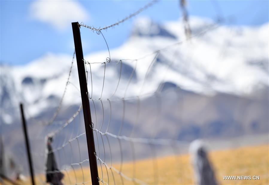 ????? ????? ????? ?????? ????? ?????? ?????? ?????? ???????