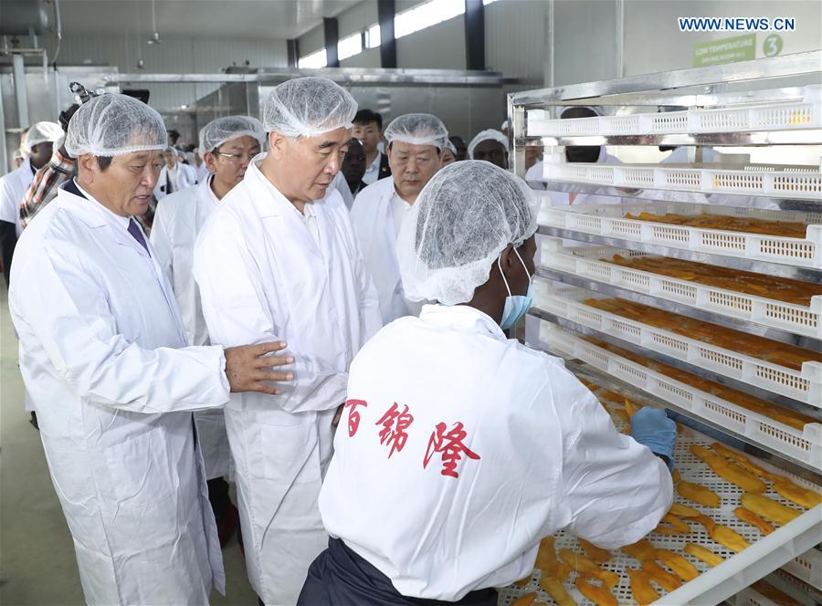 ???? ?????????? ????????? ???????? ???? ?????? ?????? ??????? ???????