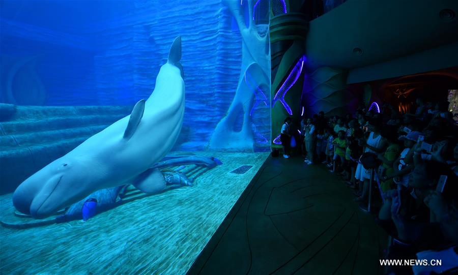 ????? ????? ??????? ???? ????? ?? ???????? ???? ???? ?????