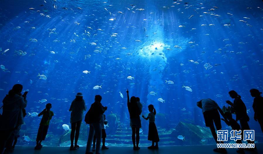 ????? ?????? ???? ???????