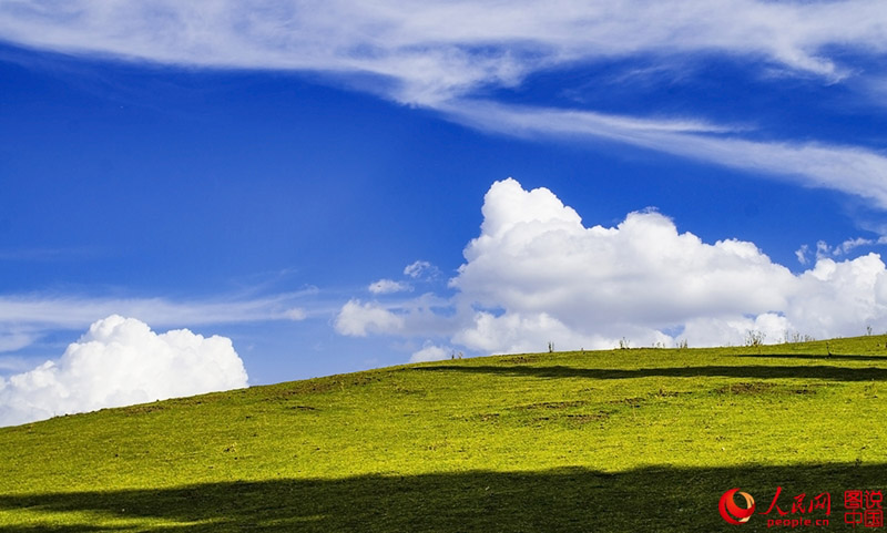 ?????? ???: ???? ???? ?????????