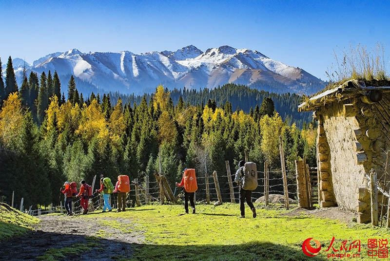 ?????? ???: ???? ???? ?????????