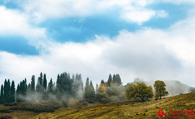 ?????? ???: ???? ???? ?????????