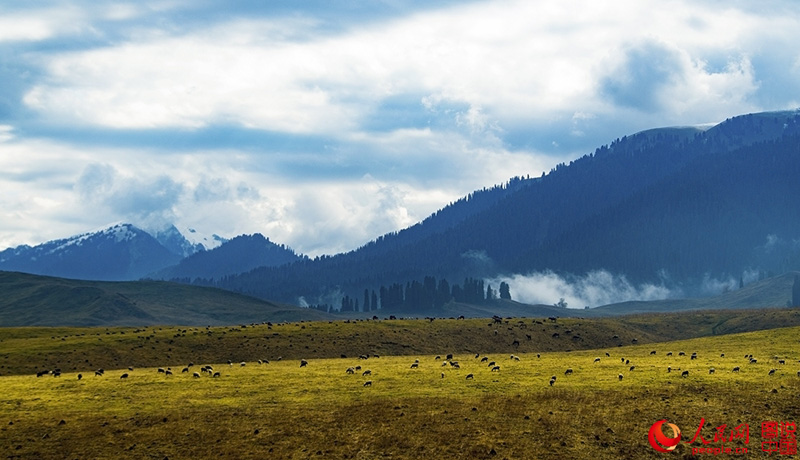 ?????? ???: ???? ???? ?????????