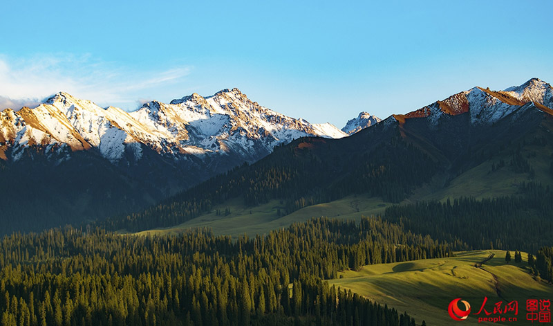 ?????? ???: ???? ???? ?????????