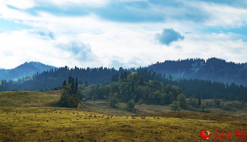 ?????? ???: ???? ???? ?????????