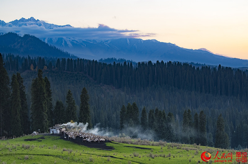 ?????? ???: ???? ???? ?????????