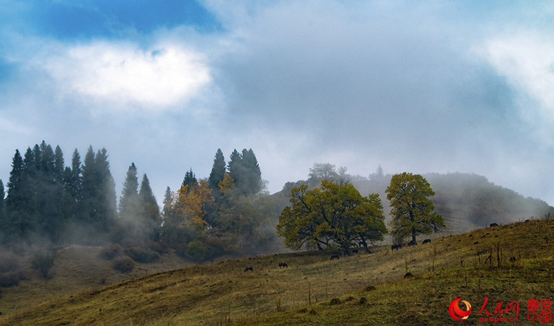 ?????? ???: ???? ???? ?????????