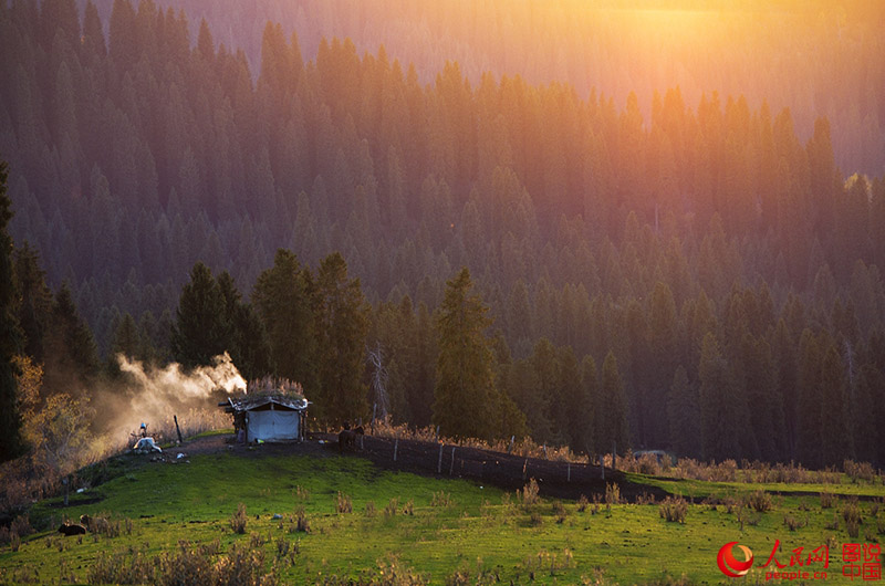 ?????? ???: ???? ???? ?????????