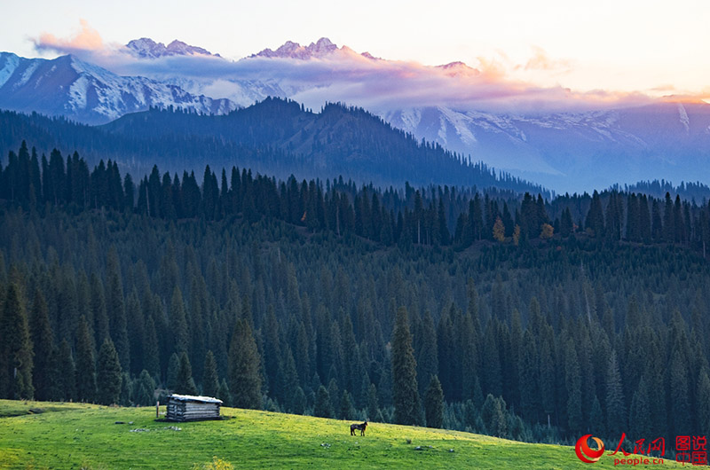 ?????? ???: ???? ???? ?????????