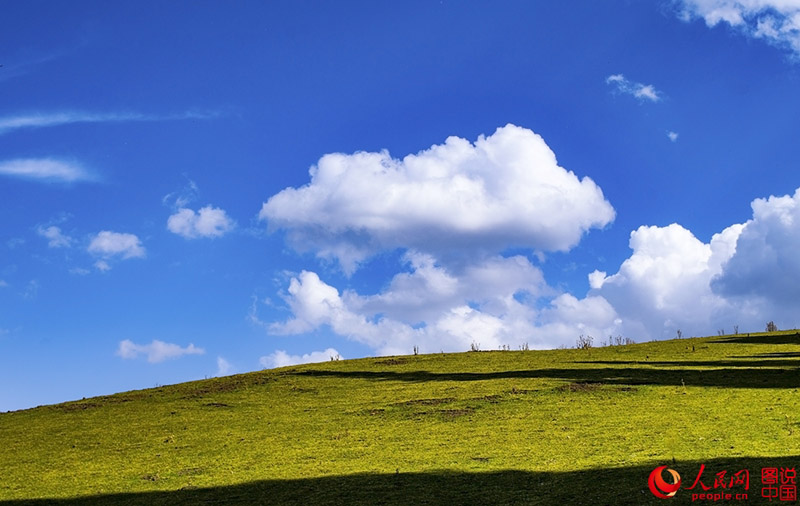 ?????? ???: ???? ???? ?????????