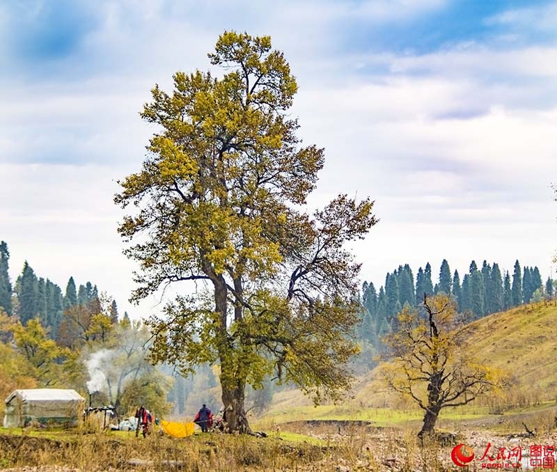 ?????? ???: ???? ???? ?????????