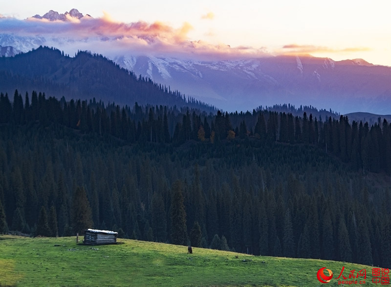 ?????? ???: ???? ???? ?????????